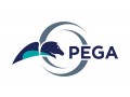 pega-81-online-training-coaching-course-in-hyderabad-small-0