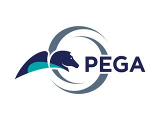 PEGA 8.1 Online Training Coaching Course In Hyderabad