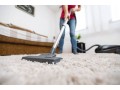 best-carpet-cleaning-gold-coast-ezydry-small-0