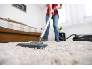 Best carpet cleaning gold coast - Ezydry