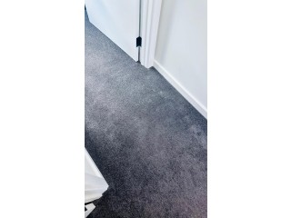 Residential carpet cleaning Adelaide