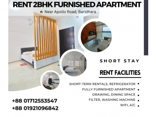Well Decorated Serviced Apartment RENT In Bashundhara R/A