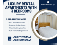 rent-a-cozy-fully-decorated-three-bedroom-apartment-in-bashundhara-ra-small-0