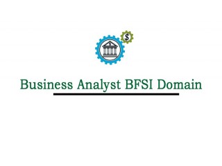 Business Analyst BFSI Domain Online Training From Hyderabad