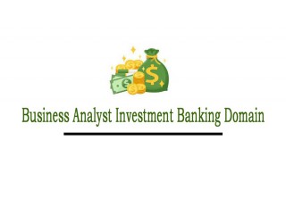 Business Analyst Investment Domain Online Training In India