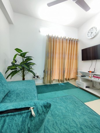 two-bedroom-apartment-in-bashundhara-ra-big-1
