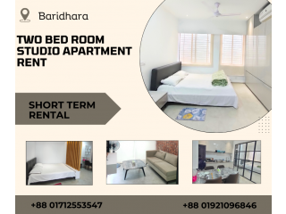 Two Bedroom Studio Apartments RENT in Baridhara.