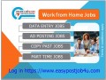 earn-from-your-home-by-doing-data-entry-job-small-0