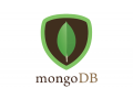 mongodb-online-training-coaching-classes-in-india-small-0