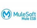 mulesoft-online-training-in-india-us-canada-uk-small-0