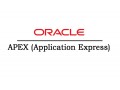 oracle-apex-online-training-course-in-india-small-0