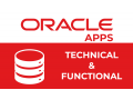 oracle-apps-online-training-institute-from-indiaukuscanadaaustralia-small-0