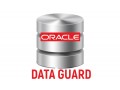 oracle-data-guard-training-viswa-online-trainings-from-india-small-0
