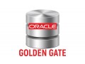 oracle-golden-gate-online-training-institute-from-india-viswa-online-trainings-small-0