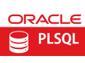 oracle-sql-plsql-online-training-coaching-course-in-india-small-0