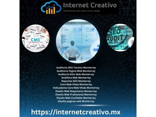 Auditoria Sitio Web Monterrey