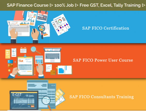 best-sap-fico-course-in-delhi-east-delhi-sla-institute-free-sap-server-access-100-job-free-demo-classes-big-0