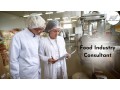 the-benefits-of-hiring-a-food-consultant-small-1