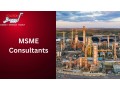 trusted-msme-consultants-in-india-small-0