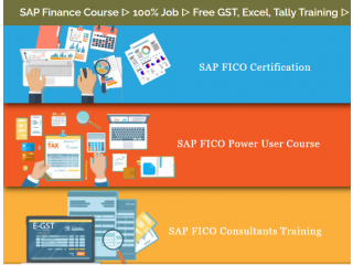SAP FICO Training Course in Delhi, Kamla Nagar, Free SAP Server Access, 100% Job Placement Program, Free Demo Classes,