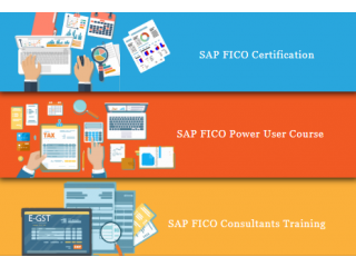 Best SAP FICO Classes in Delhi, Noida & Gurgaon, Free SAP Server Access, Free Demo Classes, 100% Job Guarantee Program