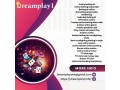 cockfighting-login-dreamplay1-small-0