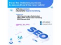welcome-to-purple-pro-media-your-complete-digital-marketing-agency-in-coimbatore-small-0