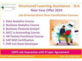 Business Analytics Certification in Delhi, SLA Institute, Govindpuri, [100% Job, Update New Skill in 2024]