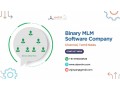 binary-mlm-software-company-in-chennai-small-0
