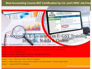 Accounting Course in Delhi [GST Update 2024] by SLA Accounting Institute, Taxation and Tally Prime Institute in Delhi, Noida,