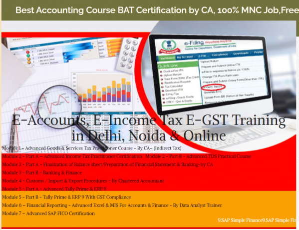 accounting-course-in-delhi-gst-update-2024-by-sla-accounting-institute-taxation-and-tally-prime-institute-in-delhi-noida-big-0