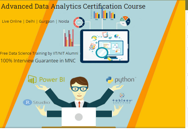 mnc-skills-india-data-analyst-certification-training-in-delhi-110035-100-job-in-mnc-new-fy-2024-offer-by-sla-consultants-india-1-big-0