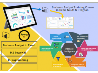 Business Analyst Course in Delhi.110018 by Big 4,, Online Data Analytics Certification in Delhi by Google and IBM, [ 100% Job with MNC]