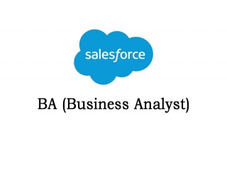 Salesforce BA Training from India | Best Online Training Institute