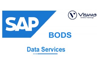 SAP BODSOnline Training Viswa Online Trainings From India