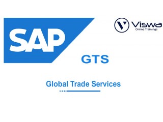 SAP GTS Training from India | Best Online Training Institute