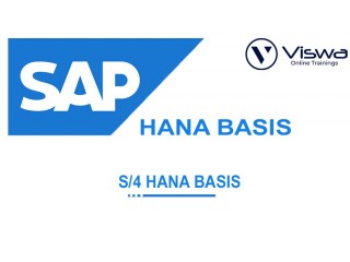SAP S4 Hana Basis Online Training Course From Hyderabad