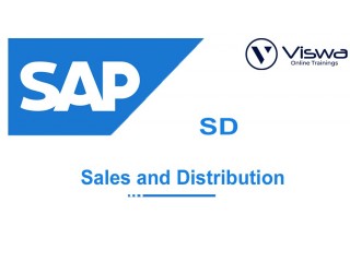 SAP SD Online Training  Viswa Online Trainings  From India