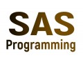 sas-programming-online-training-certification-course-in-india-small-0