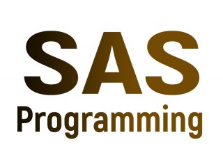 SAS Programming Online Training Certification Course In India