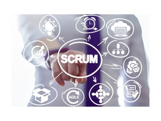 SCRUM Master / Agile Online Training - India, USA, UK, Canada
