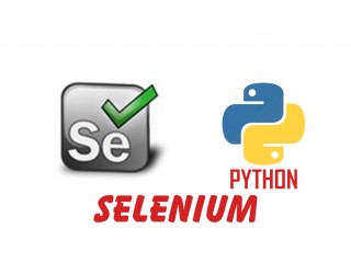 Selenium with Python Online Training Certification Course In India
