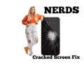 phone-repair-nerds-small-3
