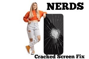 phone-repair-nerds-big-3