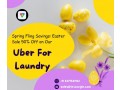spring-fling-savings-easter-sale-50-off-on-our-uber-for-laundry-small-0