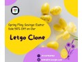 spring-fling-savings-easter-sale-50-off-on-our-letgo-clone-small-0