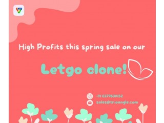 High Profits this spring sale on our Letgo clone!