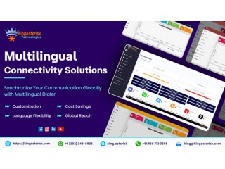 Multilingual Connectivity Solutions
